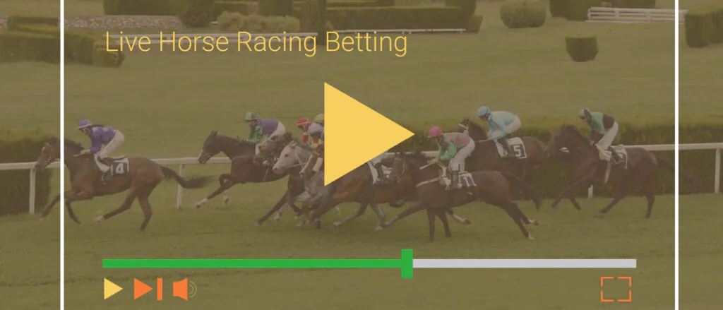 Live Horse Racing Betting