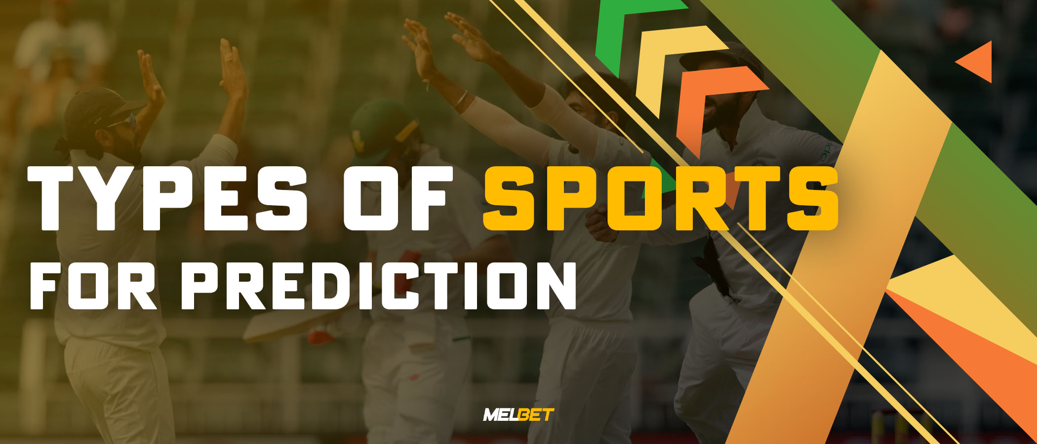 What types of sports do you have to predict